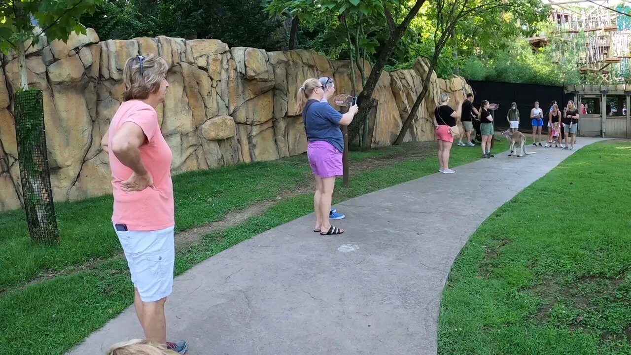 Roo Valley - Cincinnati Zoo - August '22