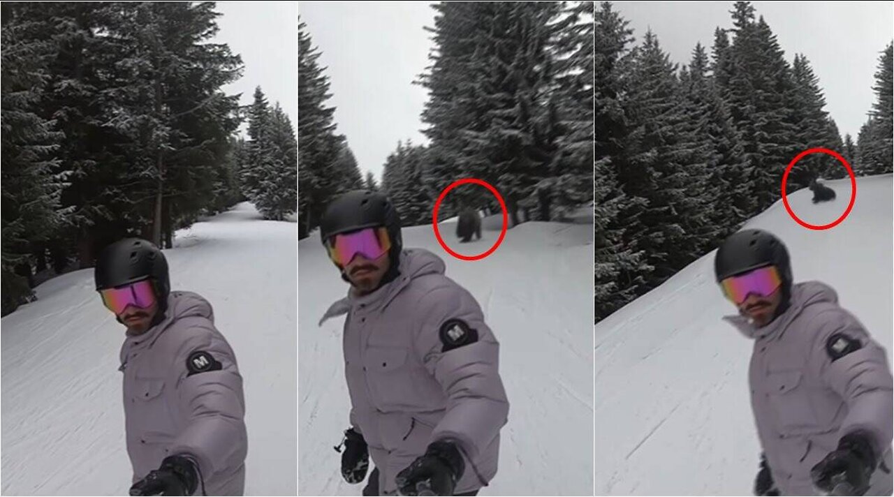 Terrified man realises he was being chased by a bear after watching video