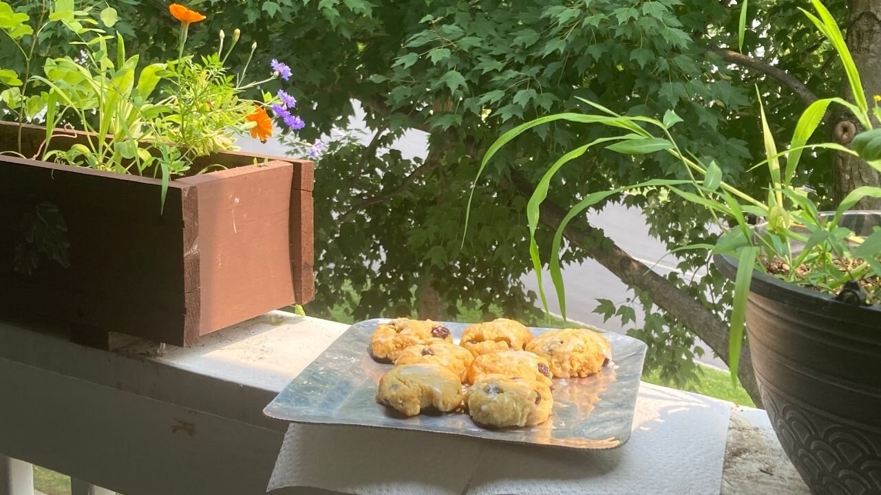 Low Carb (Keto) Blueberry Scones