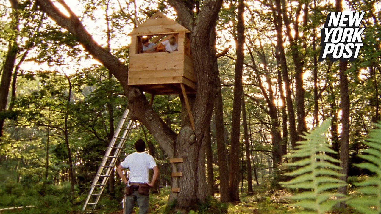Dad writes note to 'Karen' who forced him to tear down kids' treehouse