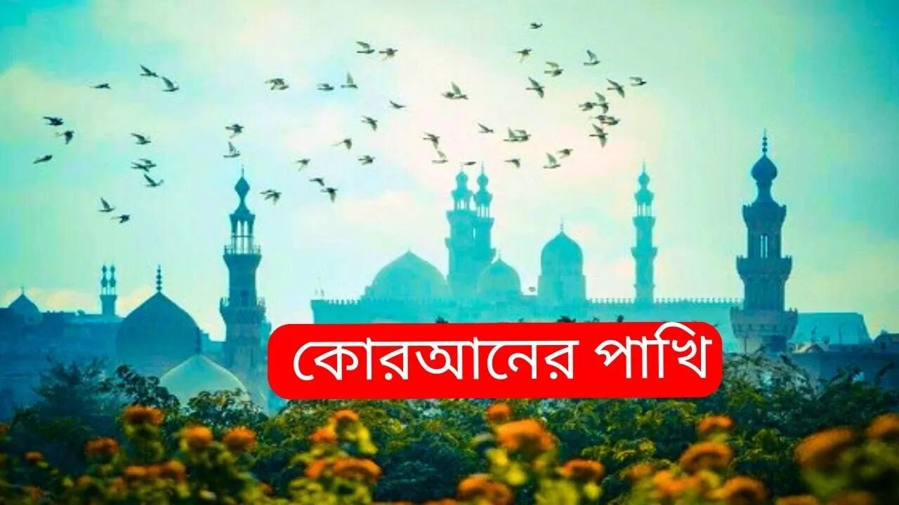 কোরআনের পাখিদের সাথে অসাধারণ একটি দিন কাটালাম..2023