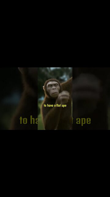 Maricoxi | Daily Dose Of Fact #shorts