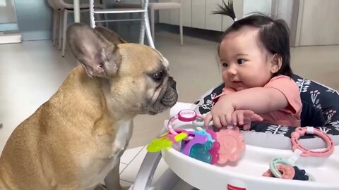 My Dogs and Baby's Morning Routine In Our New Home