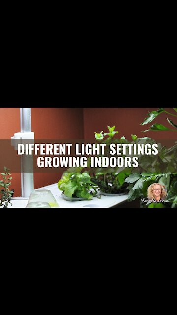 Growing Indoors with Hydroponics