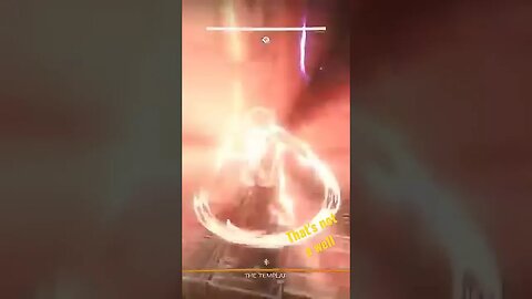 Destiny 2 - When you have one job.