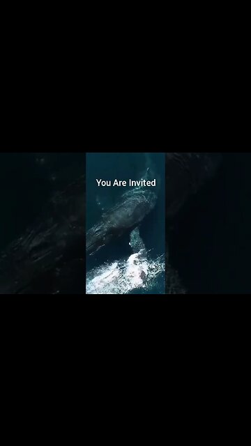 You are all invited to learn, heal & expand your awareness with the Whales Vort8x.com #whales