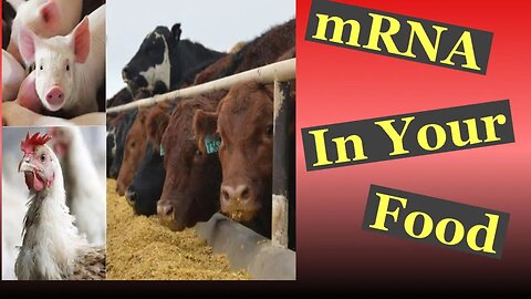 Is mRNA being put into your food?