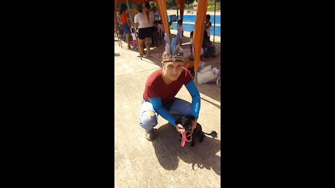 Taking care of our pets