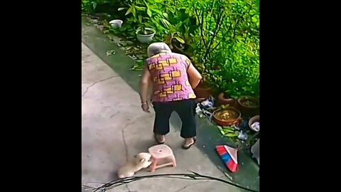 Dogs are the best.. 😊 #shorts