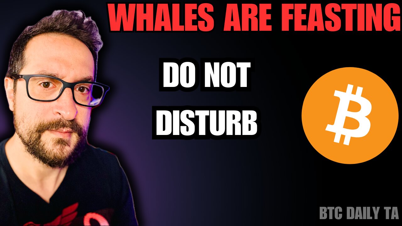 Whales Are Feasting - Do Not Disturb - Bitcoin Today