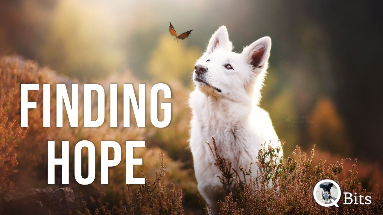 #472 // FINDING HOPE - Live