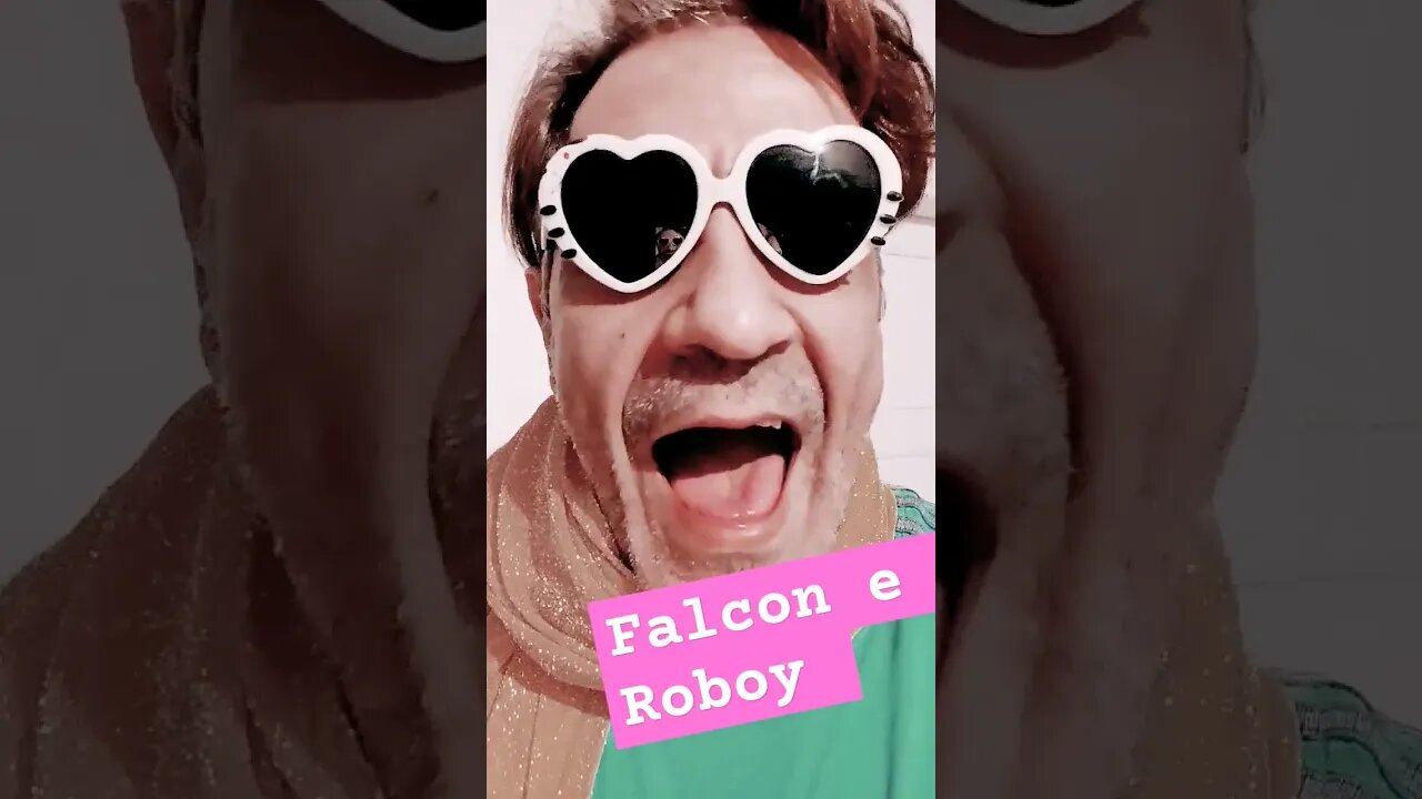 Falcon Roboy