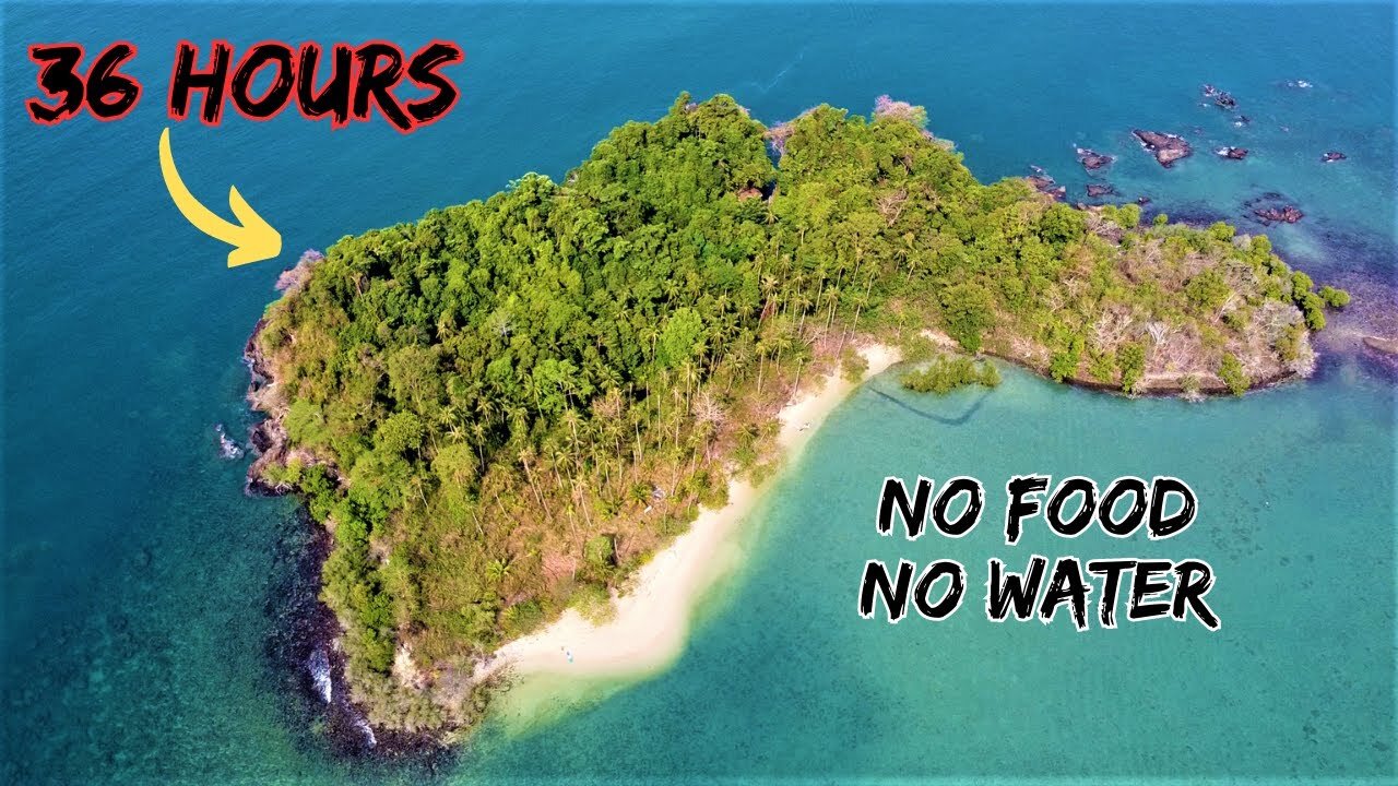 Alone on a Deserted Tropical Island with NO FOOD or WATER | Survival Challenge | Catch and Cook