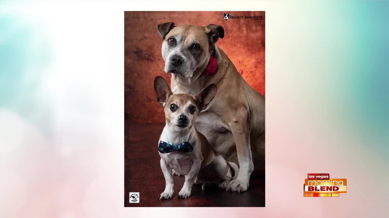 PICK OF THE LITTER: Bella & Alfie