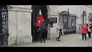 Salute the kings guard #horseguardsparade