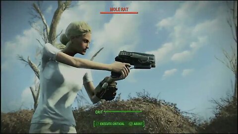 Fallout 4 Part 3 The Minutemen