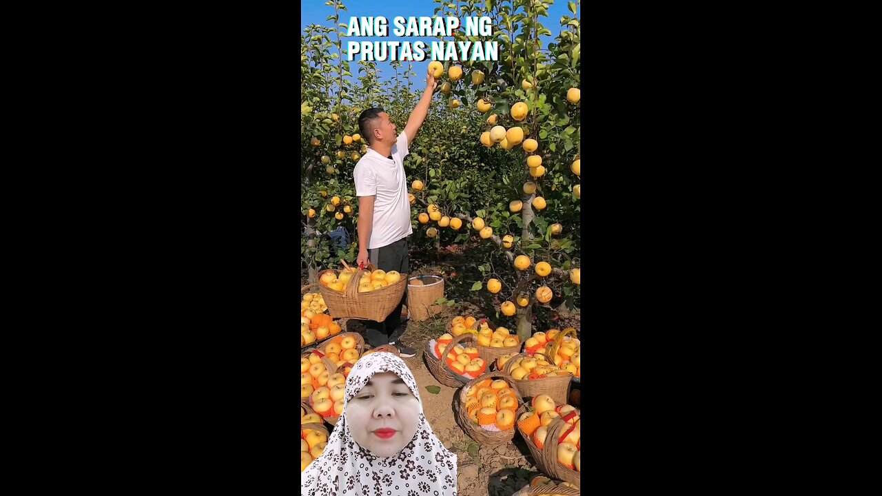 Ang daming harvest na prutas