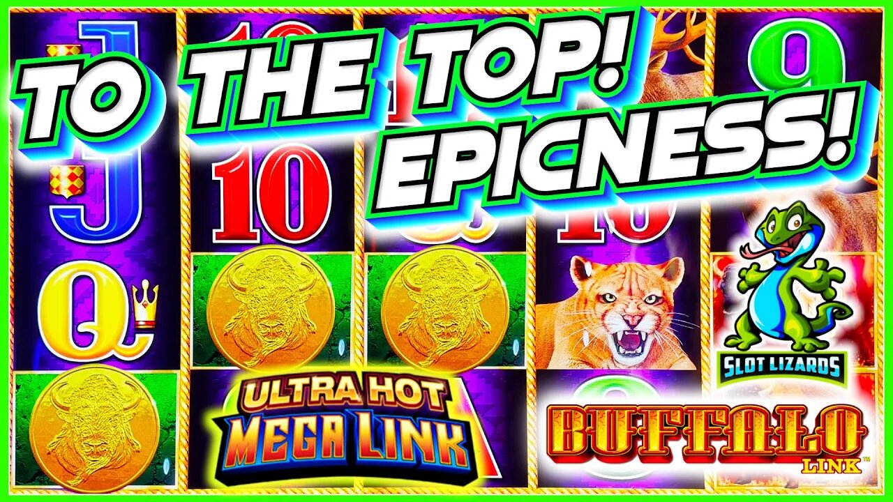 DOUBLE AWESOMENESS WIN! TO THE TOP!!! Buffalo Link VS Ultra Hot Mega Link Slots