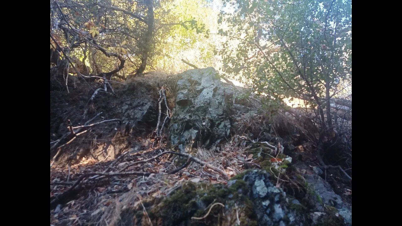 Rock Outcrop Along the Stevens Canyon Trail