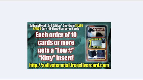Salivate Metal Silver Cards 2nd Edition - Kitty Cards Promo