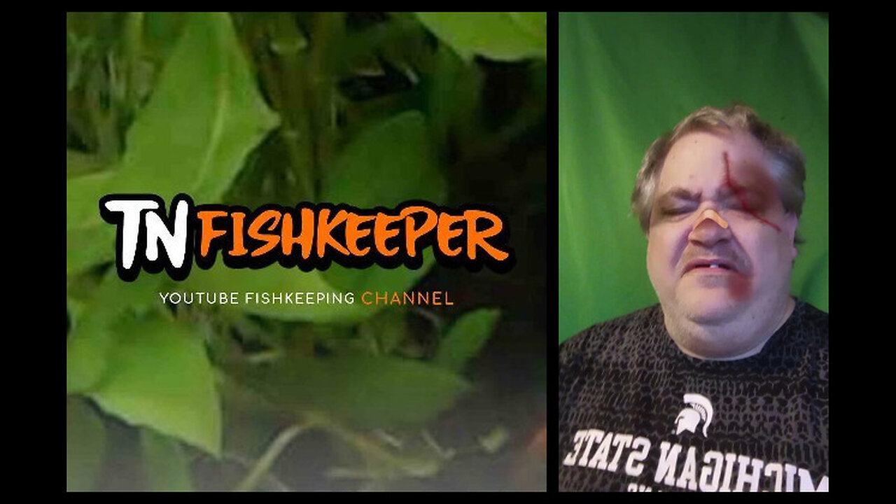 TNFISHKEEPER.COM™ 🐠 WHEN NOT TO MESS WITH UNCLE? FROM CURLY #COMEDY #CURLY #TNFISHKEEPER