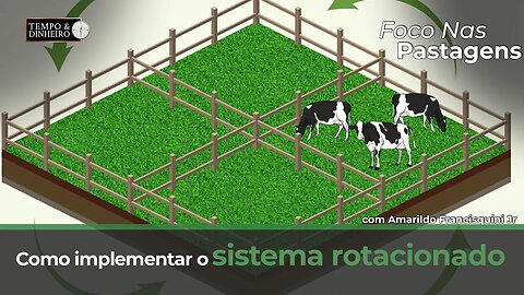 Foco nas Pastagens mostra como implementar o sistema rotacionado?