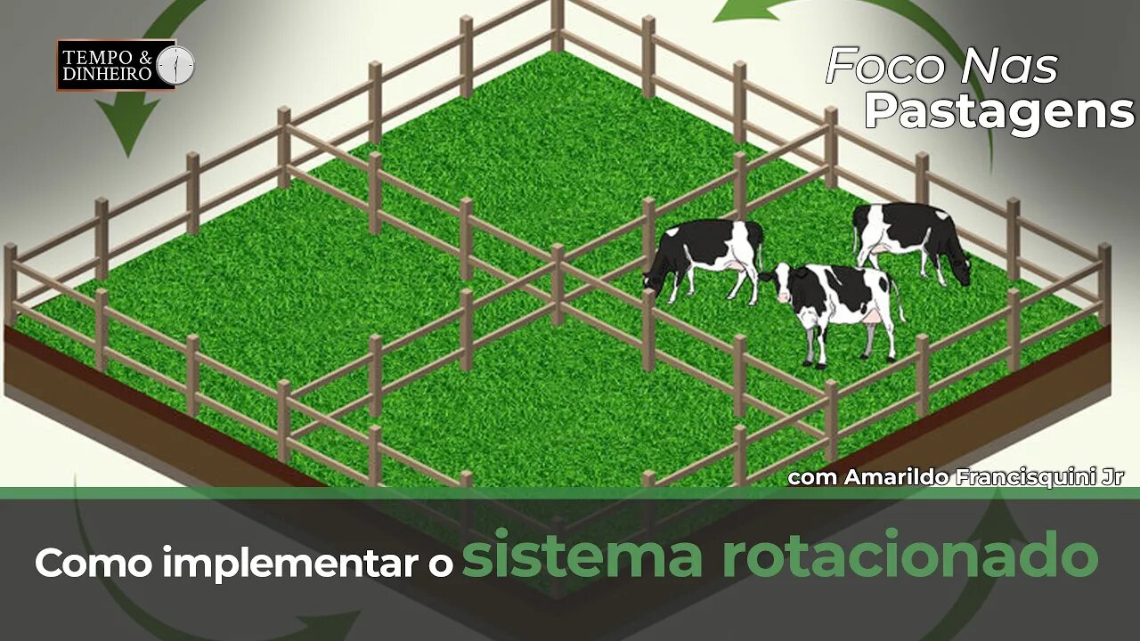 Foco nas Pastagens mostra como implementar o sistema rotacionado?