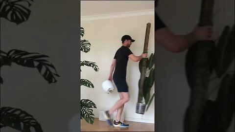 That was definitely a workout and a half but all plants made it safely to the new place :)