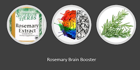 Rosemary Brain Benefits