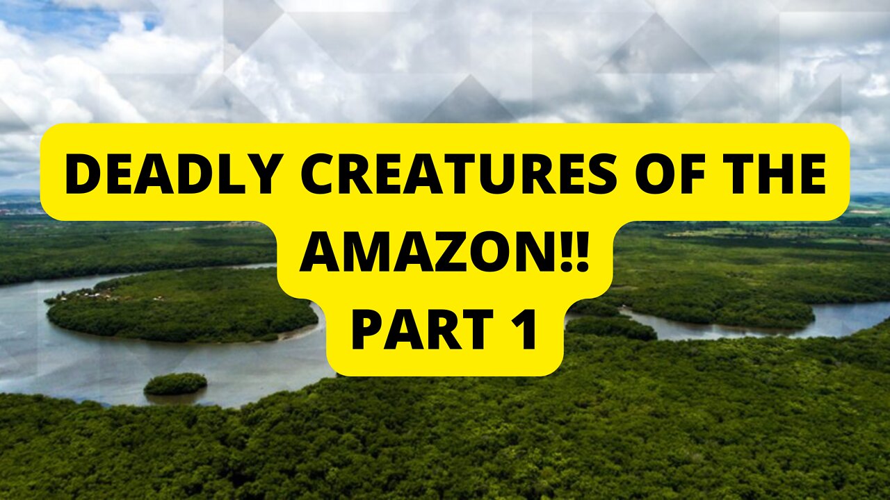 DEADLY CREATURES OF THE AMAZON!! PART 1