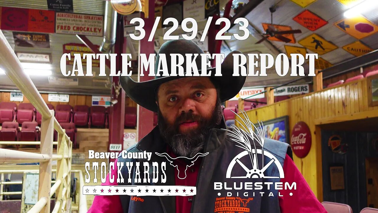 3/29/23 Beaver County Stockyards Cattle Market Report