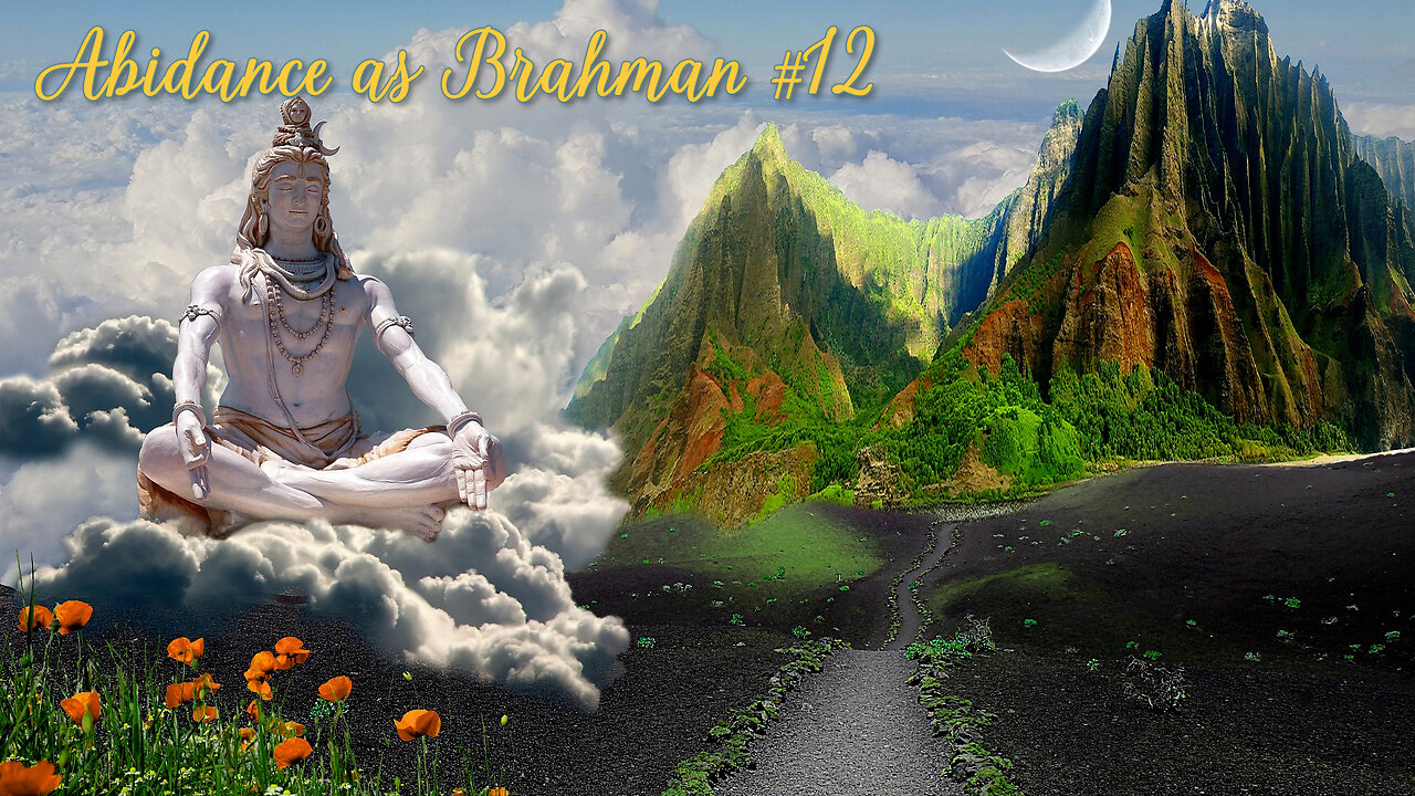 ABIDANCE AS BRAHMAN #12 - Discussions on Advaita with Sacchidananda Acharya & student Subodhananda