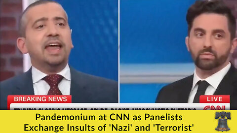Pandemonium at CNN as Panelists Exchange Insults of 'Nazi' and 'Terrorist'