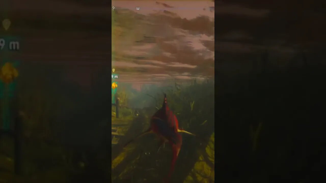 maneater must paddle faster. must paddle faster