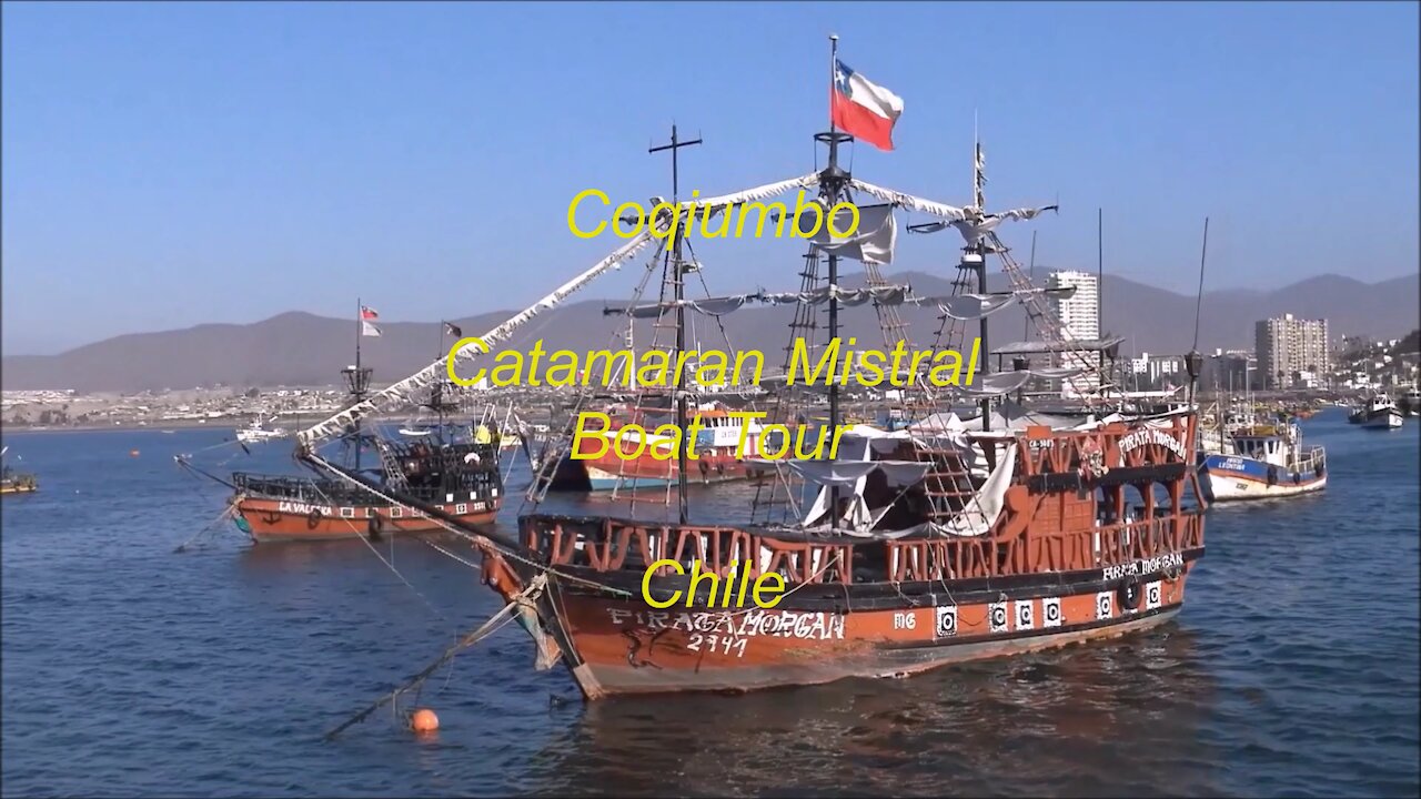 Coquimbo Catamaran Mistral Boat Tour, Chile