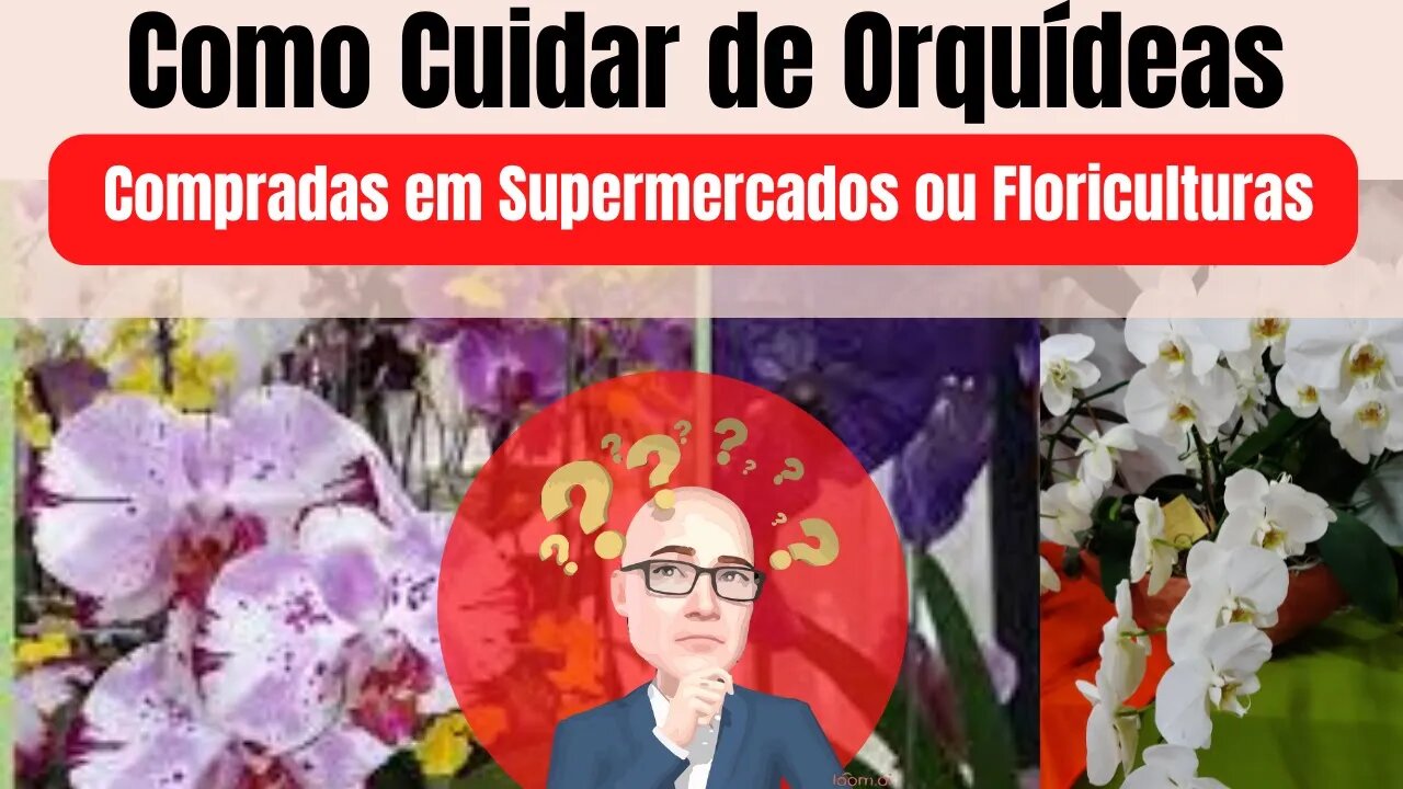 COMO CUIDAR DE ORQUÍDEAS COMPRADAS EM SUPERMERCADOS OU FLORICULTURAS | DICAS SIMPLES E PRÁTICAS