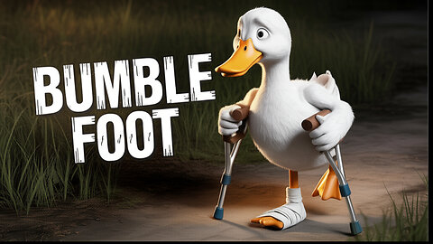 Duck Shoes For Bumble Foot?