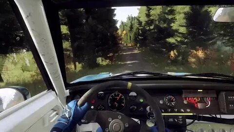 DiRT Rally 2 - Manta Mayhem at Pitkajarvi [Part 1]