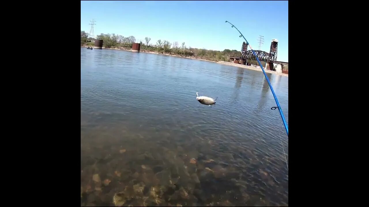 Fishing on the Tennessee River