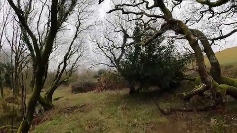 Finding a pitch at Reddacleeve farm campsite. Dartmoor. 20th March 2023 part 11