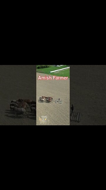 Amish Farmer