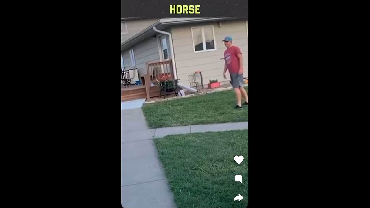Funny videos