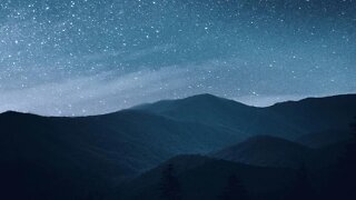 Daily Live Stream