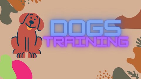 Sign up for RSPCA's free dog training course ! Dogs Training ! Dogs Training Academy