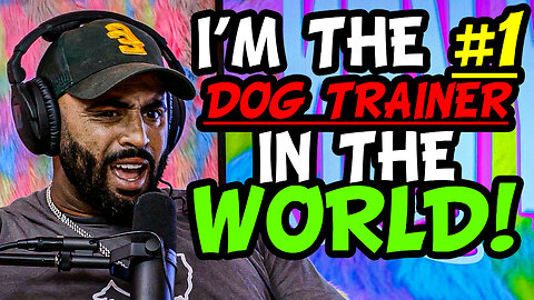 CELEBRITY DOG TRAINER: CALI K9