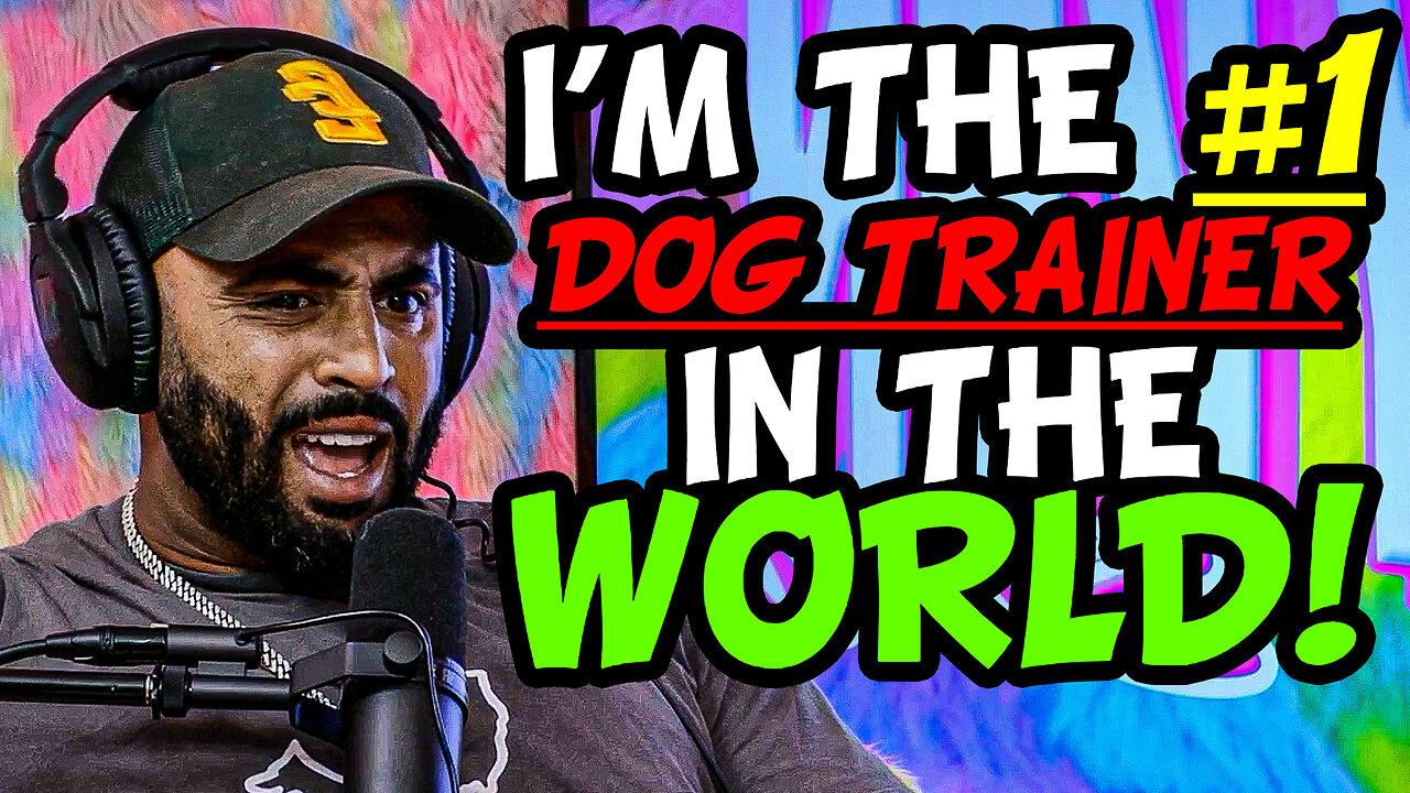 CELEBRITY DOG TRAINER: CALI K9