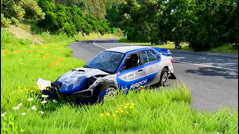 Rallying in BeamNg Didnt End Well......