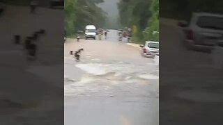 Litoral Paulista 4