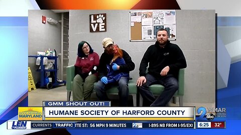 Good morning from the Humane Society of Harford County!