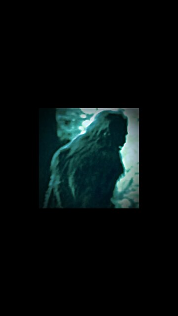 Bigfoot in Houston?